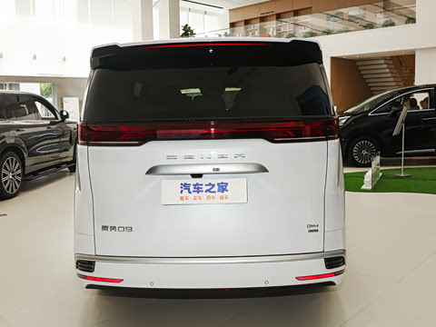 2025�� DM-i �Ǽݰ� 1100 ������