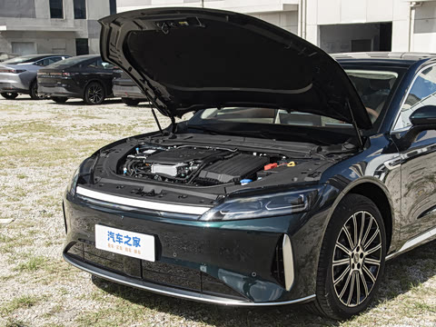 2025�� 260����������