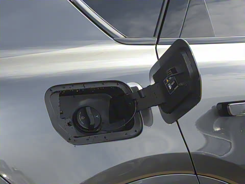 2025�� FREE+ ����Ǭ����