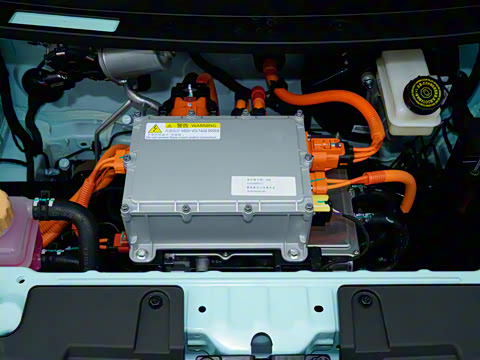 2025�� 305km ������