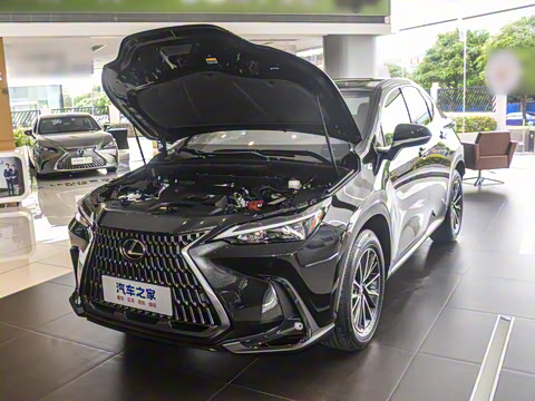 2025�� 260 ǰ�� �ر��