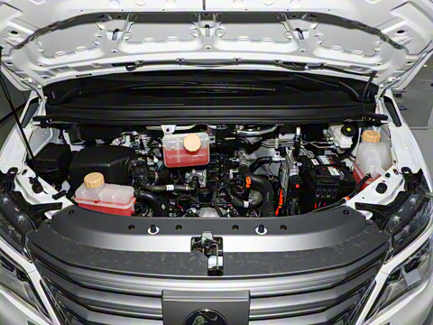 2025�� ���̰� ������ 7��