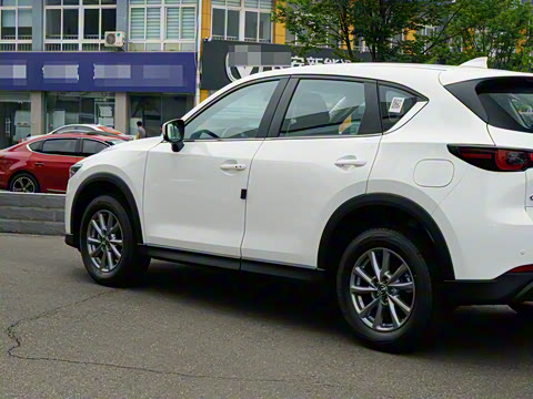 2025�� 2.0L �Զ���������Pro