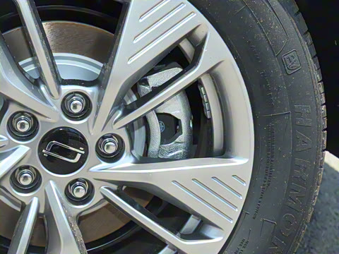 2025�� 445km ��ѡ��