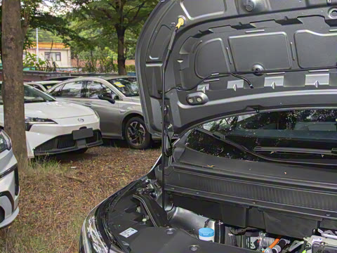 2025�� Plus 510 �Ǻ���