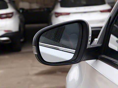 2020�� 1.5L �ֶ���