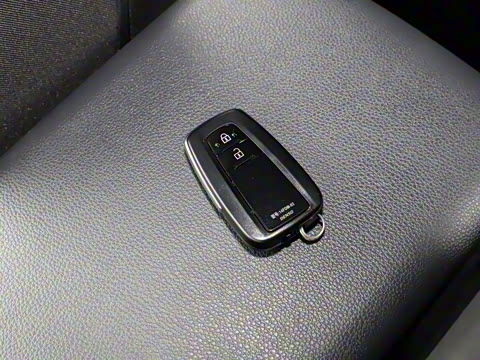 2021�� ˫�� 2.5L E-CVT������Ӣ��