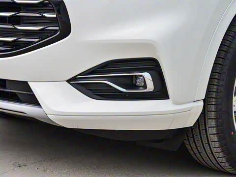 2020�� EcoBoost 245 ����������