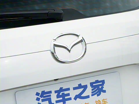 2025�� 2.0L �Զ���������Pro