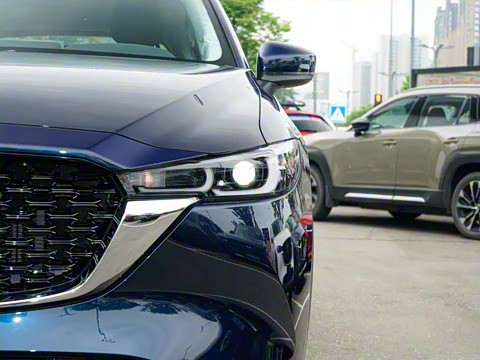 2025�� 2.0L �Զ�����������