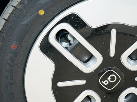 2025�� 305km ������