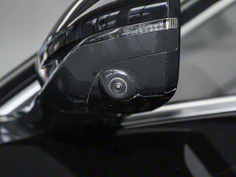 2024�� 555������