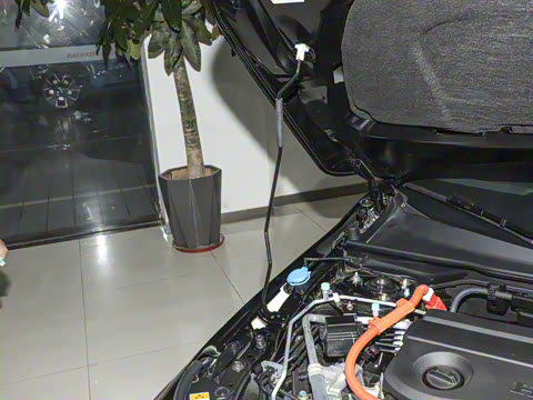 2025�� 2.0L e:HEV �춯Pro