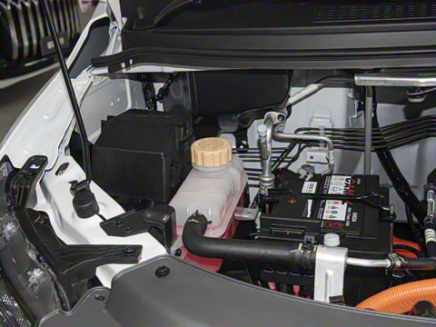 2025�� 420km���� ���˰�5��