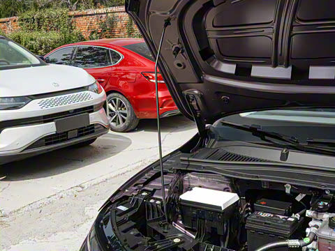 2025�� 650������