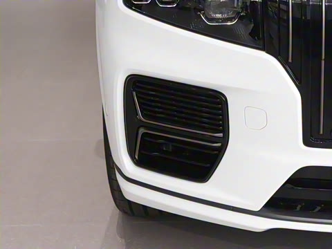 2025�� 2.0TD EM-P ����Max ����