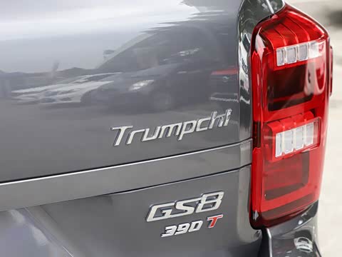 2020�� 390T �������������棨������