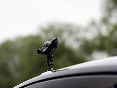 2017�� 6.6T Black Badge Edition