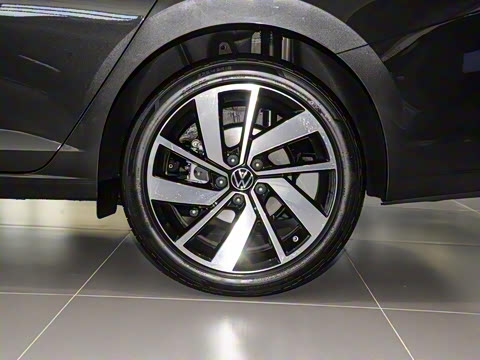 2025�� �Ŀ�� 300TSI DSG׿Խ��