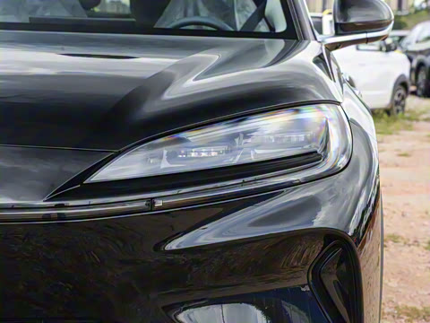 2025�� 135 �����ܼ����״��