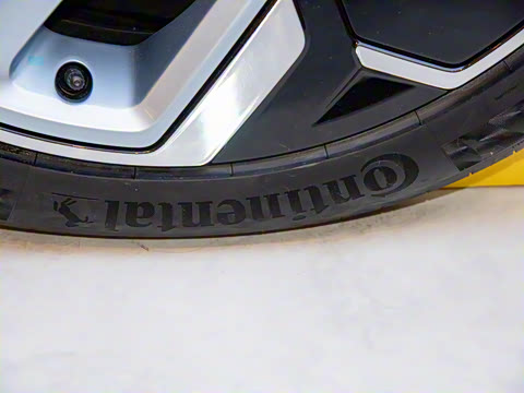 2021�� ��������˫��� YOU��