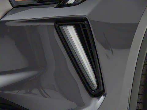 2021�� 390T �Զ����ư�