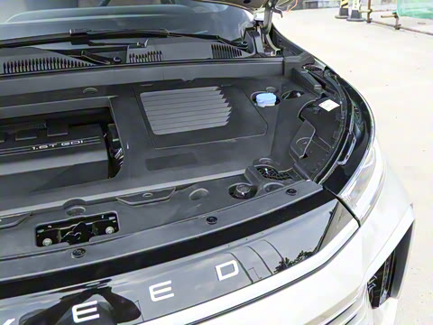 2025�� 300T ������ҹ��