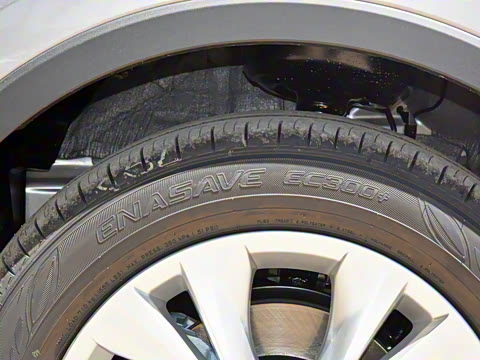 2021�� ˫�� 2.0L ������