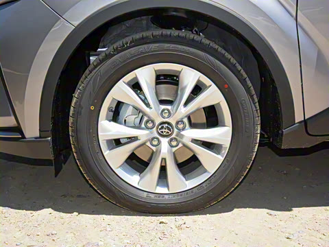 2021�� ˫�� 2.0L ������