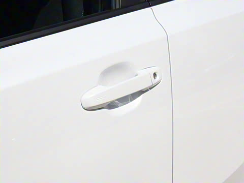 2021�� ˫�� 2.0L ������