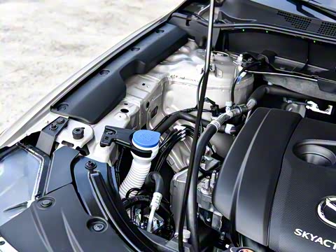 2025�� 2.0L �Զ���������Pro