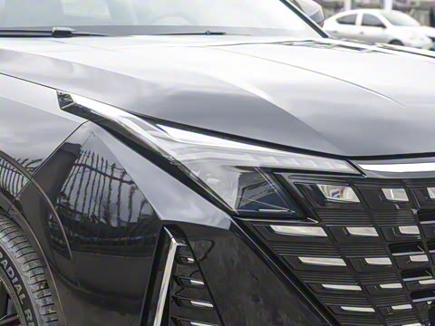 2025�� �ǻ������� 125km ������