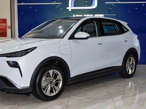 2025�� 445km ��ѡ��