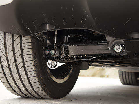 2026�� �鶯��������