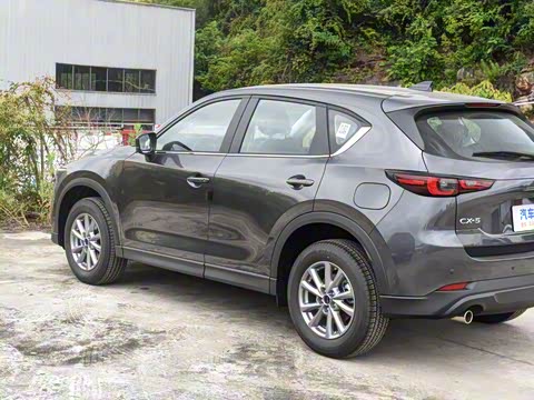 2025�� 2.0L �Զ���������Pro