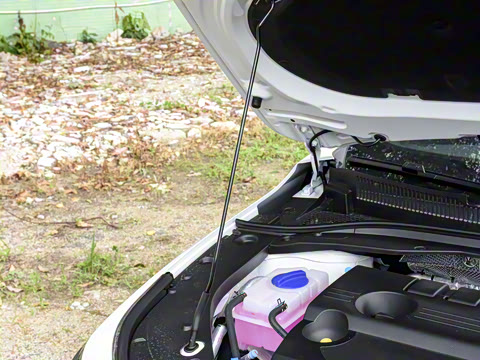 2025�� 1.6T DCT��