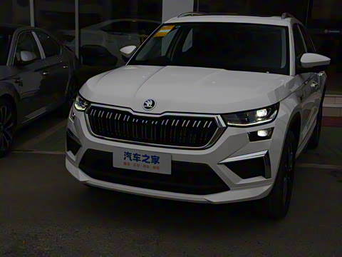 2024�� TSI380 7�������콢��