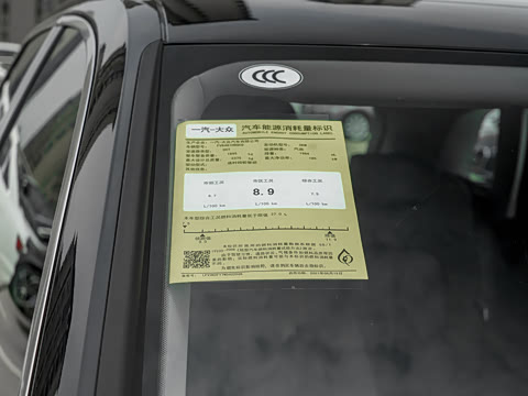 2021�� 45 TFSI ����������