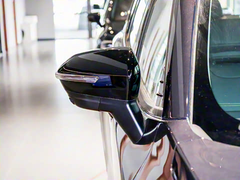 2025�� ������