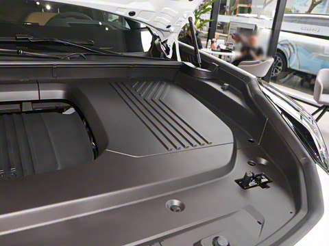 2025�� 2.0TD EM-P ����Max ����