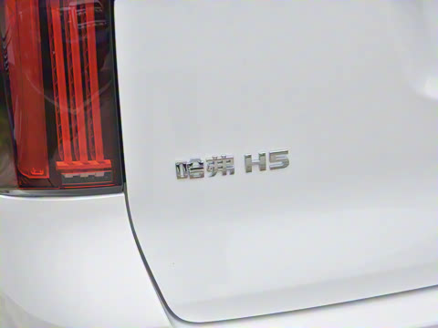 2023�� 2.0T�Զ������촴 ����