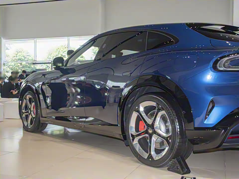 2025�� ������������������Max��