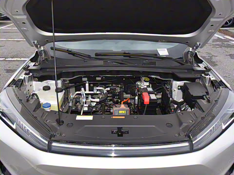 2025�� 518������