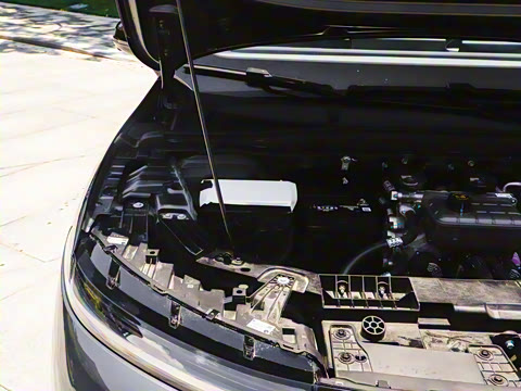 2025�� 650�����״��