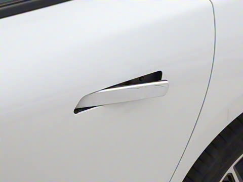 2025�� ���� 230Pro�캽��