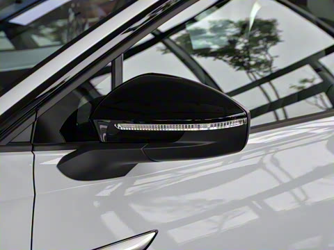 2021�� Pro ���ǳ�������