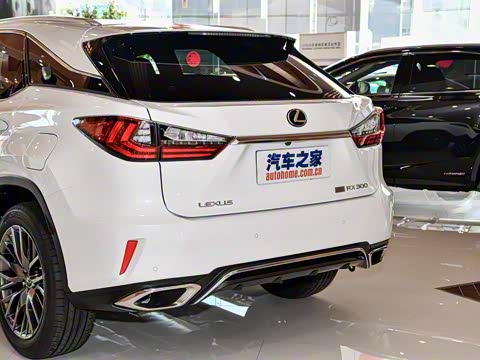 2017�� 300 Mark Levinson ����F SPORT�� ��V