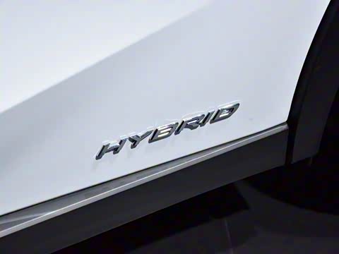 2019�� 260h F SPORT�� ��VI