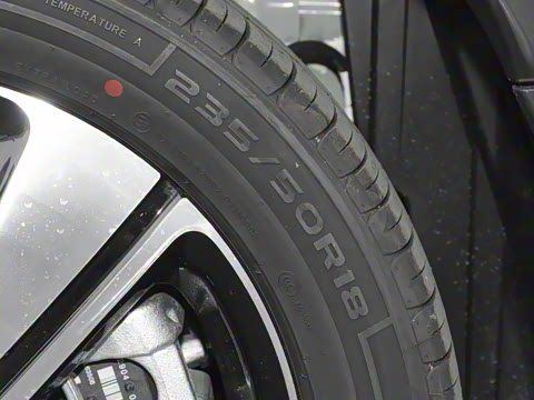 2026�� �鶯��������