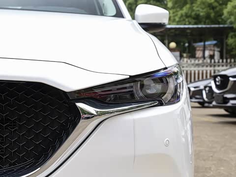 2020�� �Ŀ� 2.0L �Զ�����������